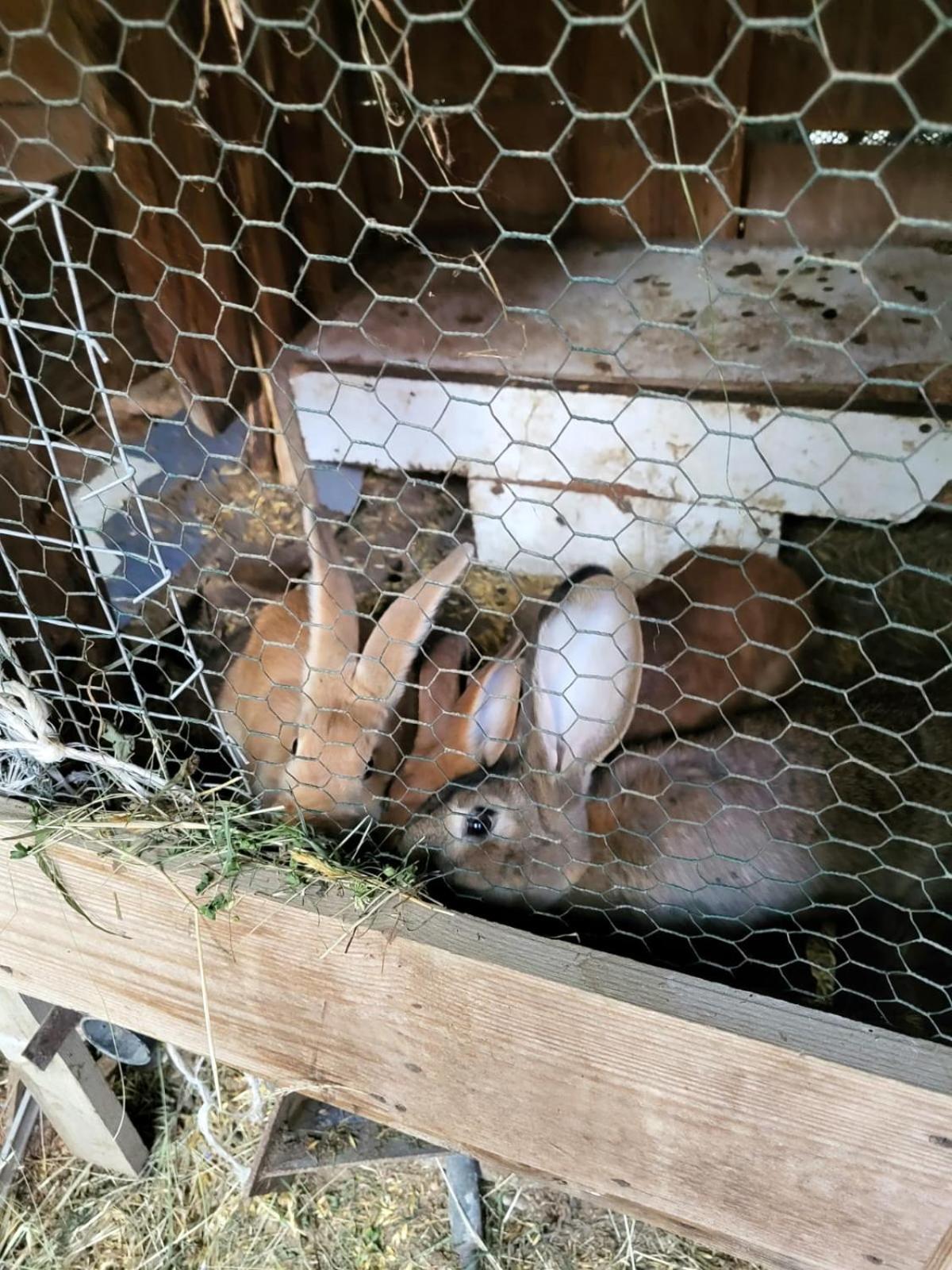 Koperkowe Rancho Beskid Wyspowy Domek Malopolskie Kamionna Kamionna  外观 照片