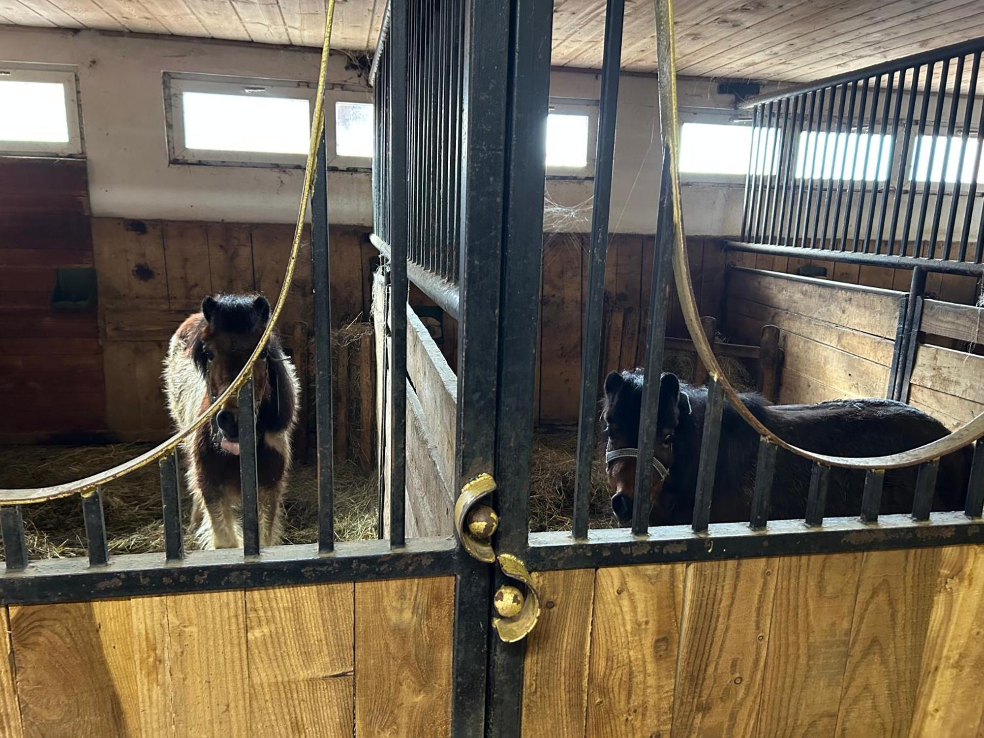 Koperkowe Rancho Beskid Wyspowy Domek Malopolskie Kamionna Kamionna  外观 照片